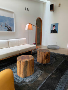 Living room with made-to-order custom Humphreys Sofa and Skye Lamp